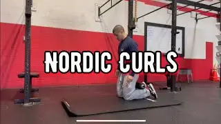 Nordic Curls