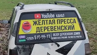 Покрытая молодая козочка на продажу за 100рублей в Слуцком районе.