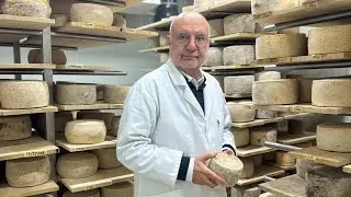From Photography to Artisanal Cheese Production | Çanakkale Gemedere Cheeses