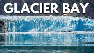 Glacier Bay National Park - 2 Days of Whales, Glacier Calving, Hikes & More