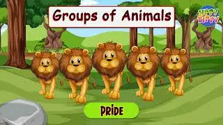 Name of different animal groups | Animal groups names | Animals | Zippy Tippy