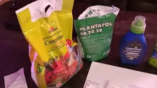 Борьба с паутинным клещем: Масай, Ниссоран, Санмайт. Удобрения Осмокот Про, Плантафол, Фертика. Цены