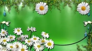 Video background for text Daisies