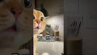 POV: пробник по обществознанию