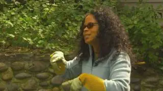 How to Prune a Tree