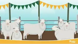 Tools to achieve your breeding objectives