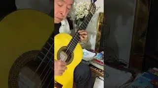 Tambores en guitarra, Drums on guitar 