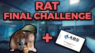 RAT TO GLORY SEASON FINALE!! THE FINAL RISKS OF THE YEAR! RAT TO GLORY #5