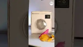 diy Mini washing machine #diy #shorts #diycrafts #schoolprojectidea #project #viral #cardboardcraft
