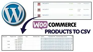 How To Export WooCommerce Products?