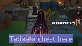 Check This Chest Out In Coop