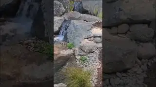 Нужен ли пруд в саду?