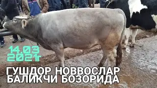 БАЛИКЧИ МОЛ БОЗОРИ 2021.АНДИЖОН БАЛИКЧИ МОЛ БОЗОРИ.BALIQCHI MOL BOZORI 2021,ANDIJON MOL BOZORI 2021