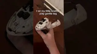 I let my little brother play Gorilla Tag 