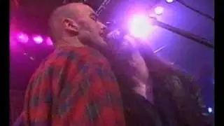 Horsehead-liar
