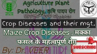 मक्का फसल के रोग, Maize 🌽 diseases - crop diseases and their mgt., UPPSC PPO Main written exam prep.