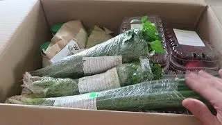 МЕНЮ НА НЕДЕЛЮ ЗАКАЗАЛА ПРОДУКТЫ