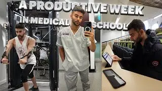 A Productive Week In The Life in Endocrinology at Medical School | 3rd Year Vlog