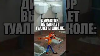 ДИРЕКТОР ВЫБИРАЕТ ТУАЛЕТ В ШКОЛЕ: