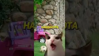 Найди Кота! Сложный Уровень 8😼