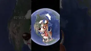 I found a strange dog on Google Earth 🌎 