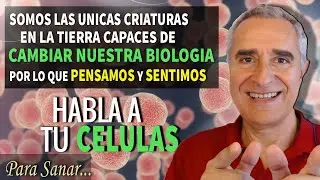 Cómo Hablar A Tus Células Para Sanar