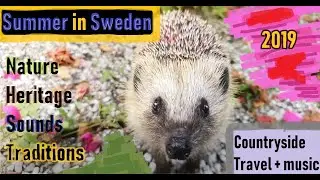 Summer in Sweden 2019 - Närke, Pålsboda m. omnejd (+Småland/Östergötland/Jämtland)