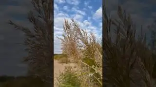 Осень…🌾 