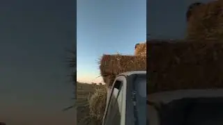 Грузим сено