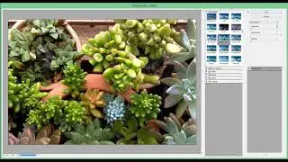 ADOBE ILLUSTRATOR: ADOBE ILLUSTRATOR PHOTOSHOP EFFECTS  || ADOBE ILLUSTRATOR TUTORIAL FOR BEGINNERS