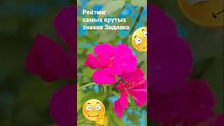Рейтинг самых крутых знаков Зодиака  / 7457 Знаки Гороскоп Астрология Эзотерика