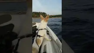 Рыбачка Джесська😉