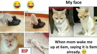 😂School Memes😂|🤣Hilarious Memes🤣|😆Relatable Memes😆|😁Memes That Only Students Will Understand😄