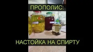Лекарственная настойка прополиса на спирту 96 градусов DomSpirt