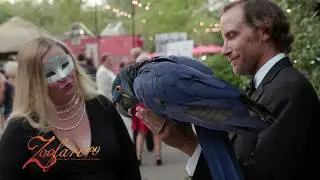 Zoofari 2019 - Cincinnati Zoo