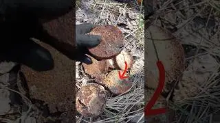 Немецкие БАНКИ с СЮРПРИЗОМ Третьего РЕЙХА  #коп