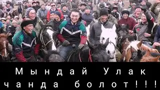 Мындай Улак чанда болот 🔥🔥🔥