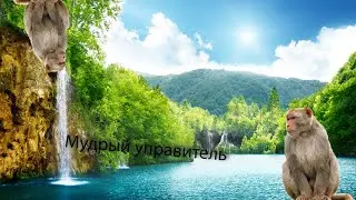 Утренние чтения 