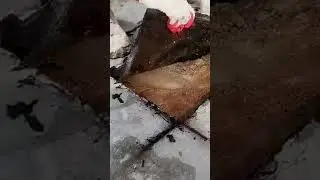 Осмотр кровли 🤕  #демонтажкровли #демонтаж
