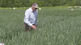RGT Stokes G4 2021 South