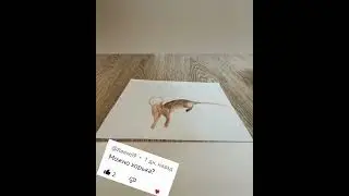 рисование хорька🐾😍❤️🖌️