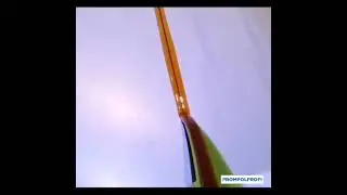Заполняем анкерный пропил инъекционным эпоксидным составом 😉ышленныеполы 