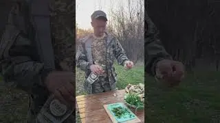 Уха