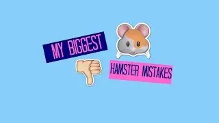 My Hamster Mistakes