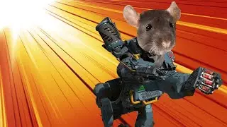 When your a rat and 3rd party lol
