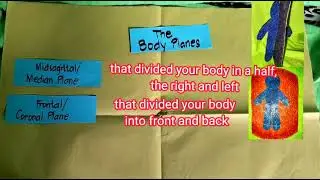 Body Planes: Improvised Model