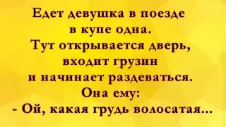 Грузин и Девушка в Поезде... Анекдоты Онлайн! Короткие Приколы! Смех! Юмор! Позитив!