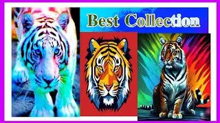 Rare tigers🐯🐅