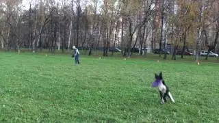 Татьяна и Пуля - фризби-фристайл