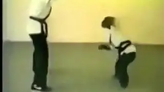 обезьяна чак норис